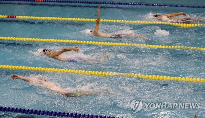 정규 수영대회서 경영을 하는 모습. [연합뉴스 자료사진]