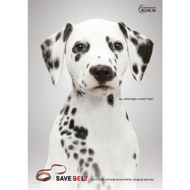 롯데 대홍기획, 동물보호단체 헬프애니멀과 반려견 안전벨트 착용 인식제고 캠페인 개시