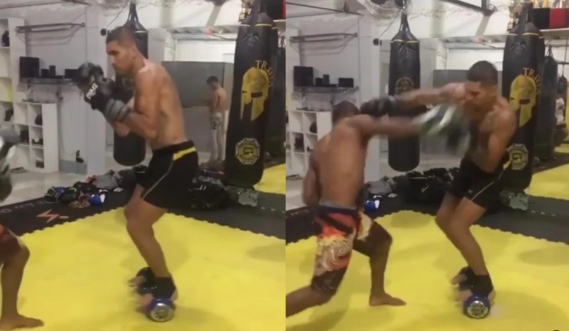 보드를 타고 스파링하는 페레이라(사진=인스타그램)