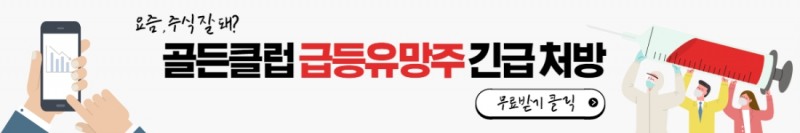 ‘【손실】 커져만 가..'하는 투자자에겐 내일 급등유망주가 '필수'