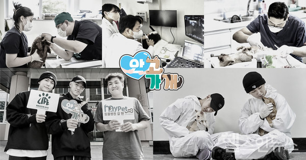 10월유기견·유기묘의료봉사에참여한‘안고가개’봉사단과DKZ재찬·종형