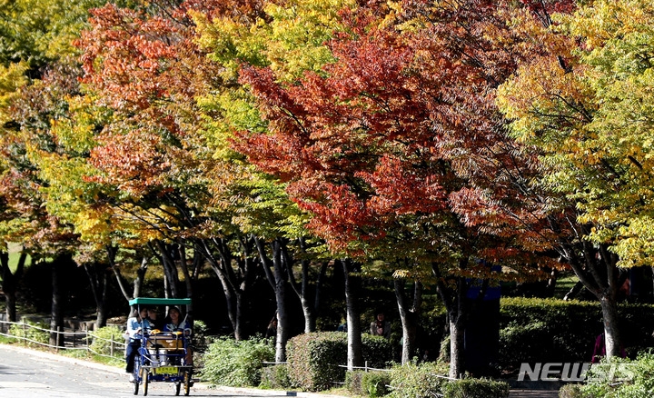 완연한 가을날씨를 보인 지난 13일 오후 서울 송파구 올림픽공원에서 관광 자전거를 탄 가족들이 가을정취를 만끽하고 있다.
