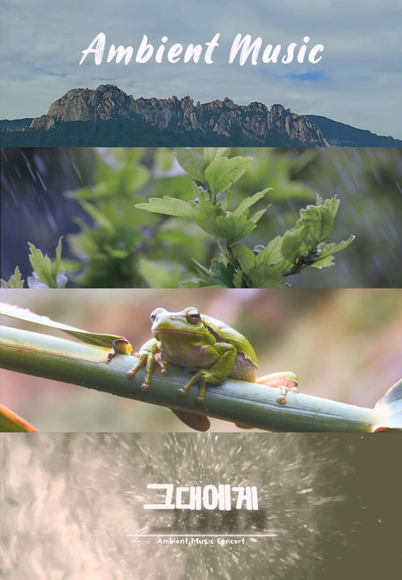 마포문화재단, 엠비언트 뮤직 콘서트 <그대에게>개최