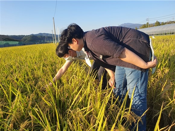 화순군농업기술센터 관계자가 현장 기술지도를 하는 모습 (사진제공 = 화순군)