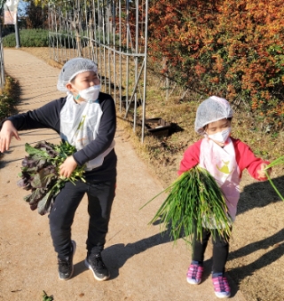 상하농원 수확체험을 즐기는 아이들 (제공 : 상하농원)