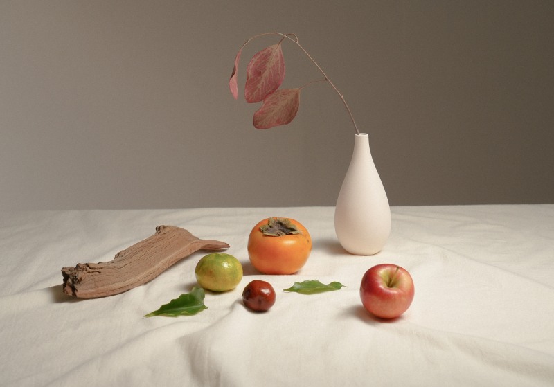 못난이 농산물 업사이클링 블렌디드 TEA 브랜드 ‘퍼스티아’,’ 2022 서울 카페쇼’ ‘체리스초이스’ 선정