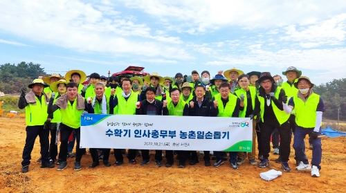 농협중앙회 김문기 인사총무부장(앞줄 왼쪽에서 다섯번째)과 직원들은 21일 충남세종지역본부와 서산시지부 직원 등과 40여명의 봉사단을 꾸려 충남 서산시 부석면 농가를 찾아 고구마 수확작업을 지원하였다.