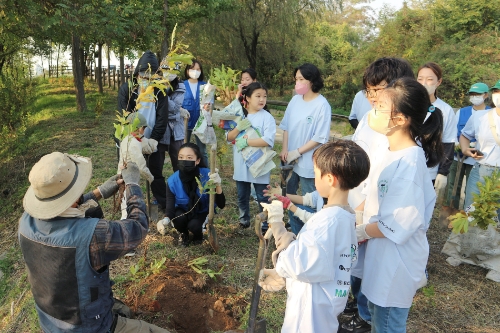 효성 임직원과 서울 시민분들이 마포구 노을공원에 위치한 '효성 나눔의 숲'에서 나무 심기 행사에 참여하고 있다. /사진 제공=효성