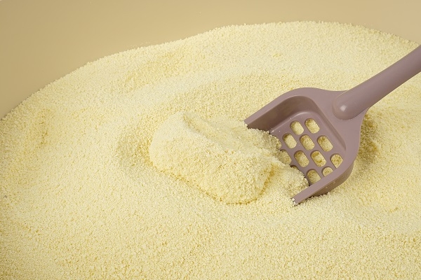 레옹펫의 PB상품 고양이 모래 ‘샌드더블레스’, 반려동물용품 전문몰 입점