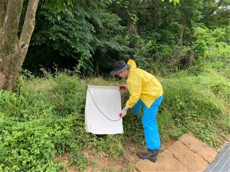 참진드기 서식 실태조사 모습 (사진제공 = 광주광역시)