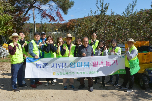 25일 경기 포천시 사과농가에서 사과수확 작업 후 농협경제지주 축산물도매분사 임직원들이 기념촬영을 하고 있다. /사진 제공=농협