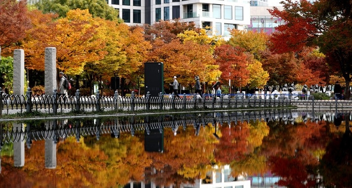 완연한 가을날씨를 보인 지난 26일 오후 서울 성동구 서울숲에서 시민들이 단풍이 곱게 물든 산책로를 걷고 있다.