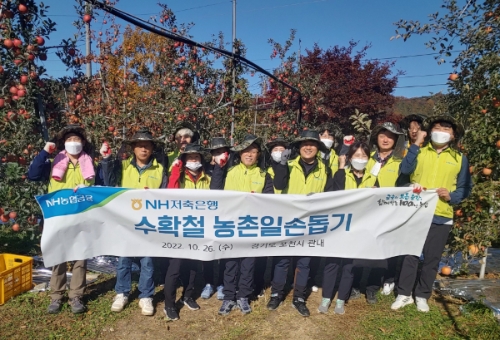 NH저축은행 임직원 봉사단은 26일, 경기도 포천시 소재 사과농가를 방문해 농촌 일손돕기를 실시했다. 이종욱 NH저축은행 경영지원본부장(앞줄 왼쪽에서 두 번째)과 봉사단원들이 일손돕기 후 기념촬영을 하고 있다. / 사진 제공 : NH저축은행
