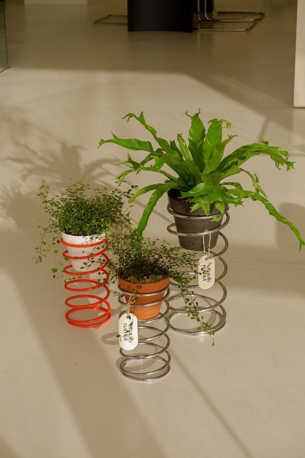 플랜트 디자인 브랜드 내추럴리내추럴, AR 기반 식물 커스터마이징 플랫폼 ‘플랜테일러’ 공개