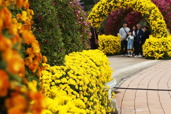 2022 대한민국 국향대전 모습 / 사진 제공 : 함평군