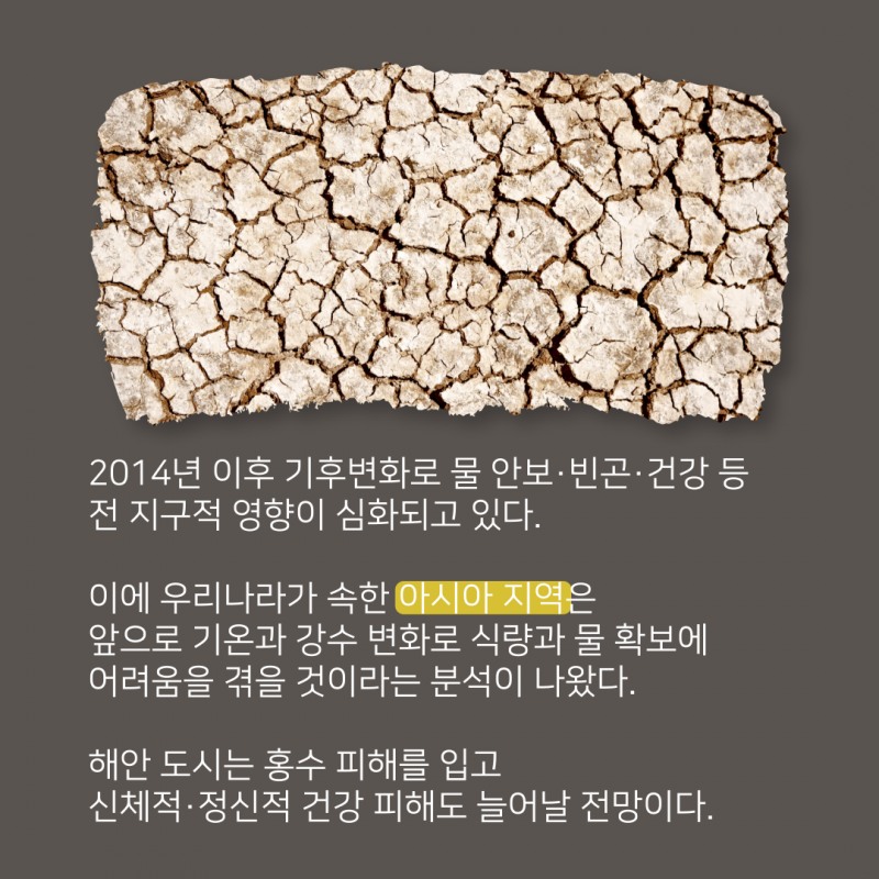 기후변화가 몰고 온 '아시아 식량난'