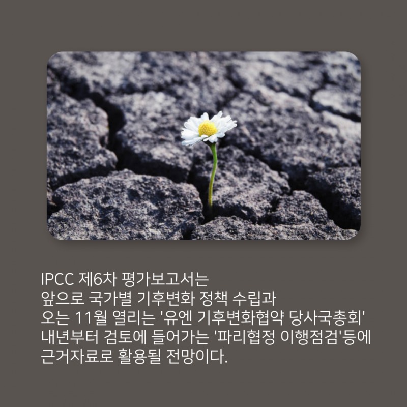 기후변화가 몰고 온 '아시아 식량난'