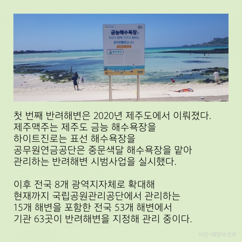 바다를 키우는 세상, '반려해변'