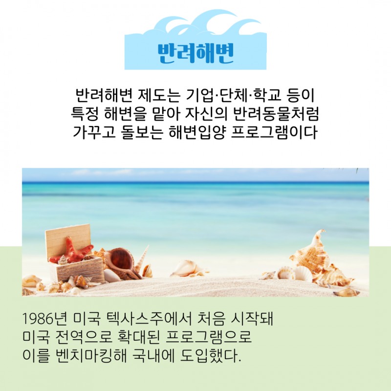 바다를 키우는 세상, '반려해변'