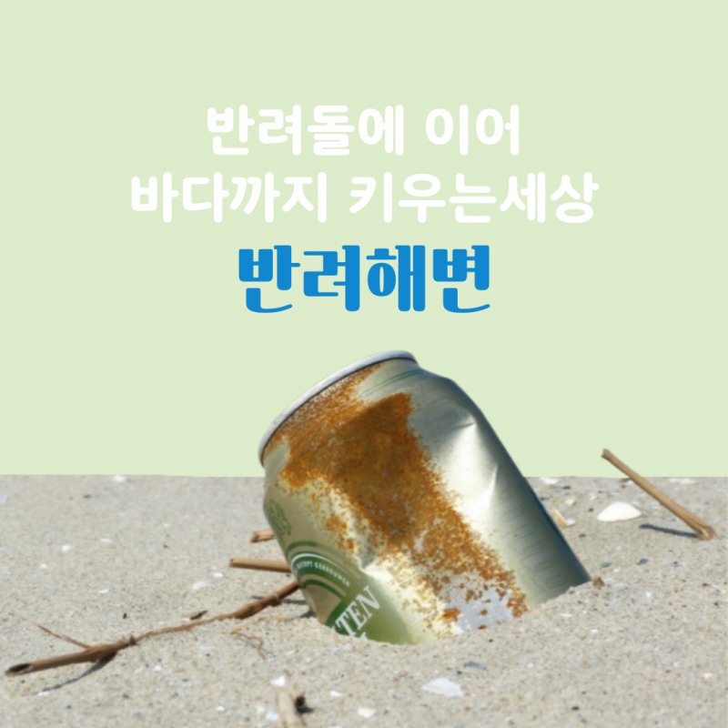 바다를 키우는 세상, '반려해변'