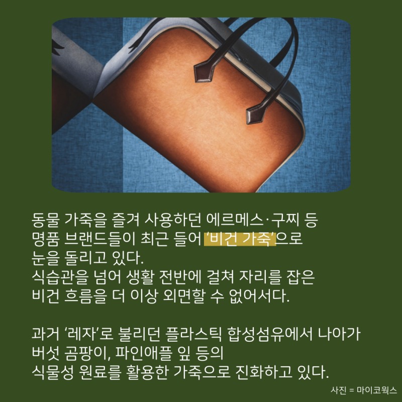 가죽도 비건이 대세
