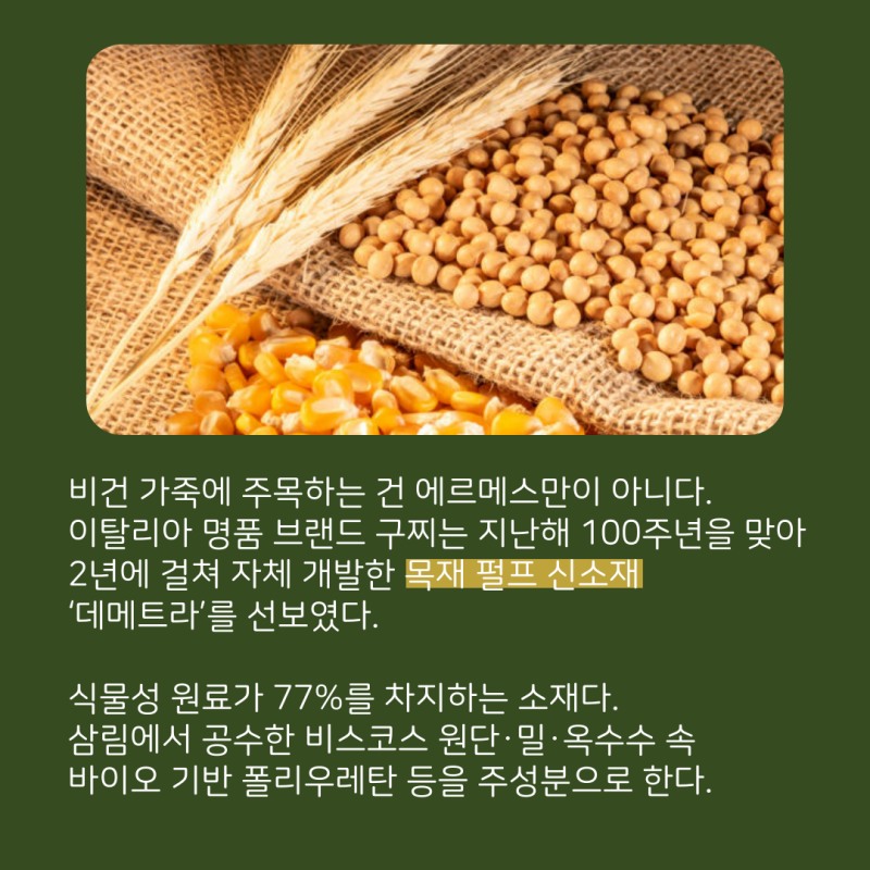 가죽도 비건이 대세