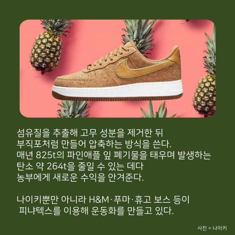 가죽도 비건이 대세