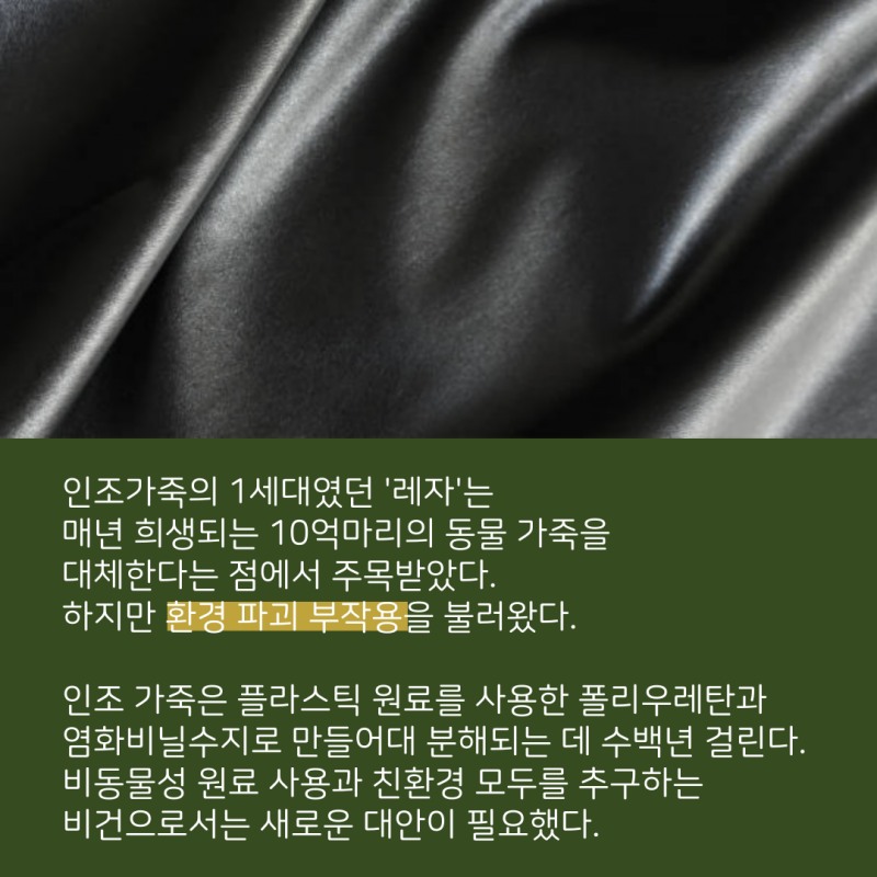 가죽도 비건이 대세