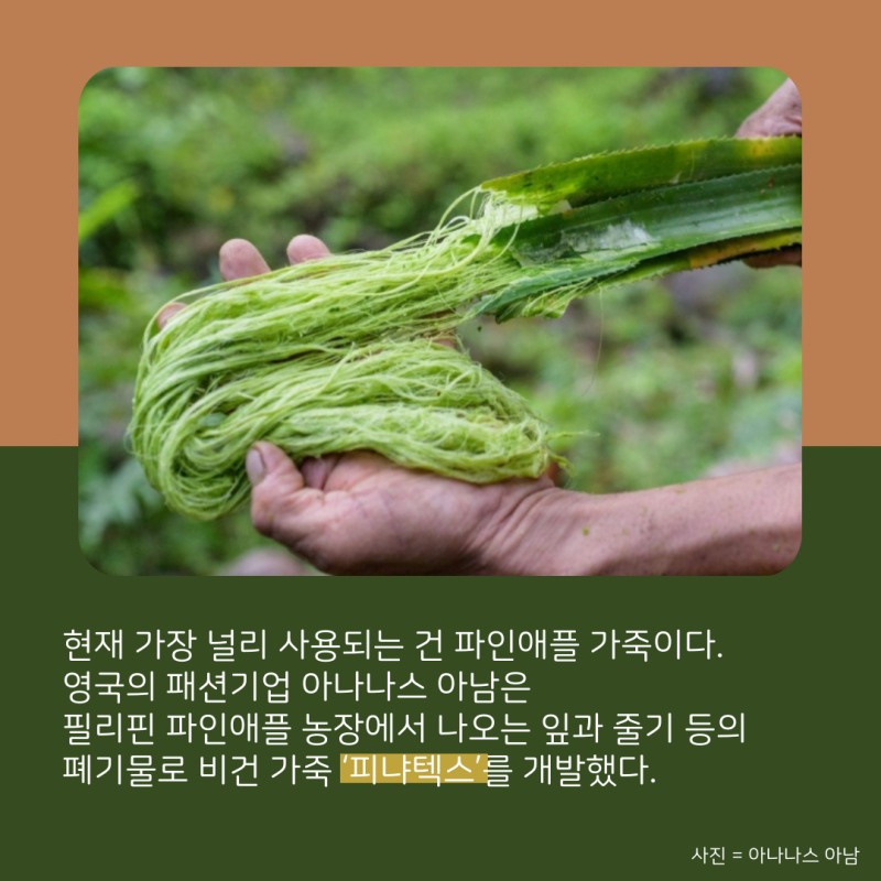 가죽도 비건이 대세