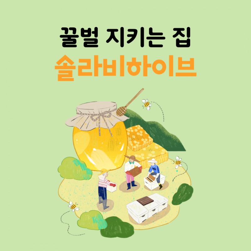 꿀벌 지키는 집, '솔라비하이브'