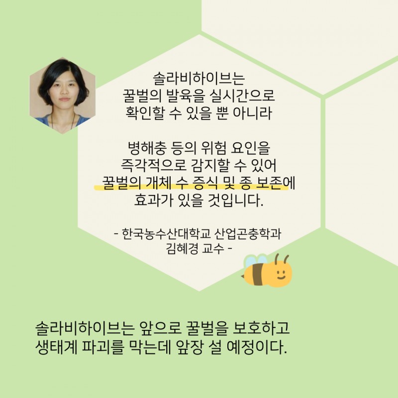 꿀벌 지키는 집, '솔라비하이브'