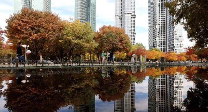 완연한 가을날씨를 보인 지난 26일 오후 서울 성동구 서울숲에서 시민들이 단풍이 곱게 물든 산책로를 걷고 있다.