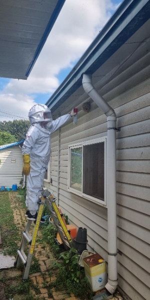 의용소방대 생활안전전문대 벌집제거 모습 / 사진 제공 : 경기도