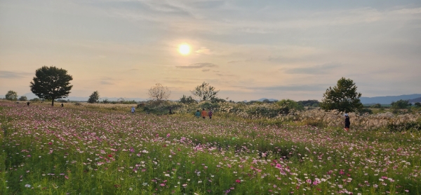 영산강 서창들녘 모습 (사진제공 = 광주광역시)