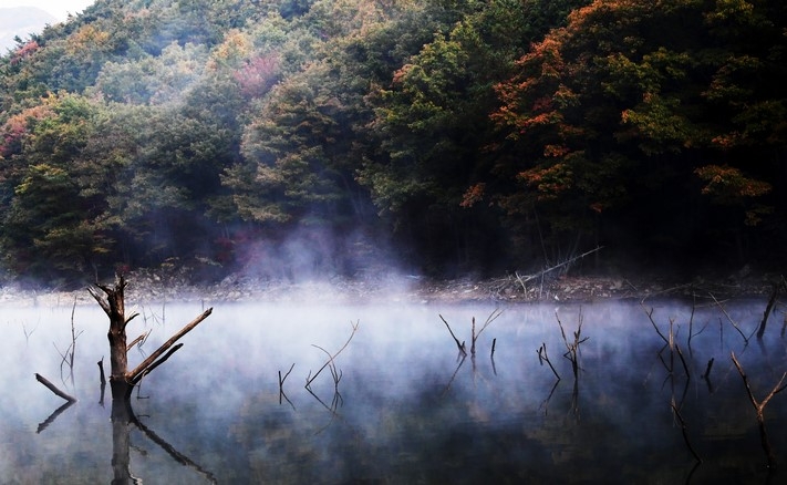 완연한 가을 날씨를 보인 28일 오전 경남 남해군 내산저수지에 물안개가 피어오르고 있다.