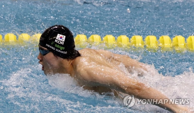 한국 수영 간판스타 황선우의 접영 100m 경기 모습. 그는 에이지그룹별로 단계를 밟아 성장했다. [연합뉴스 자료사진]
