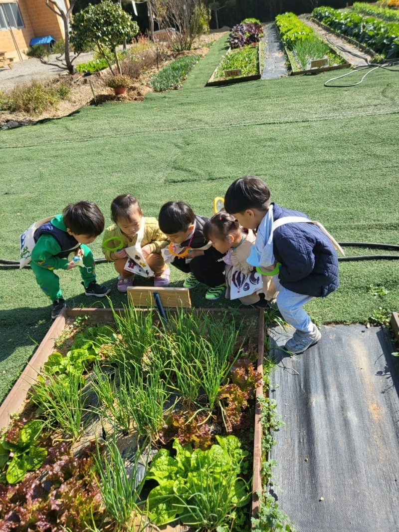 옐로우행복주말농장 운영 모습 (사진제공 = 무안군)