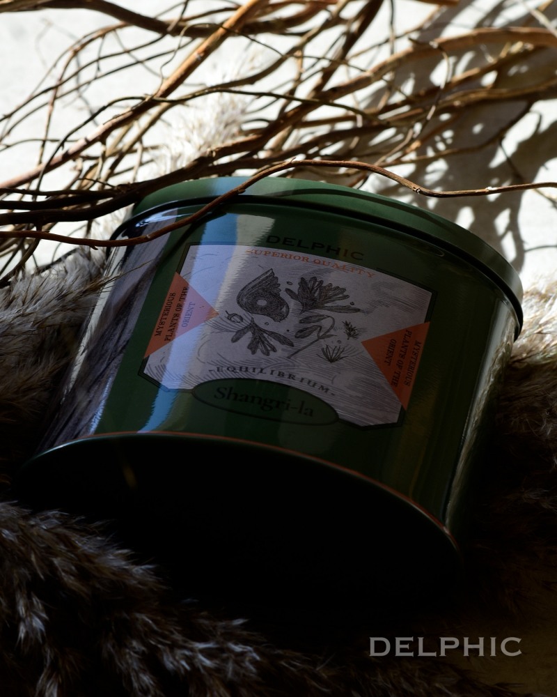 티 브랜드 델픽, 신세계 면세점 입점