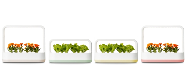 LG 틔운 미니 제품 모습 / 사진 제공 = LG전자