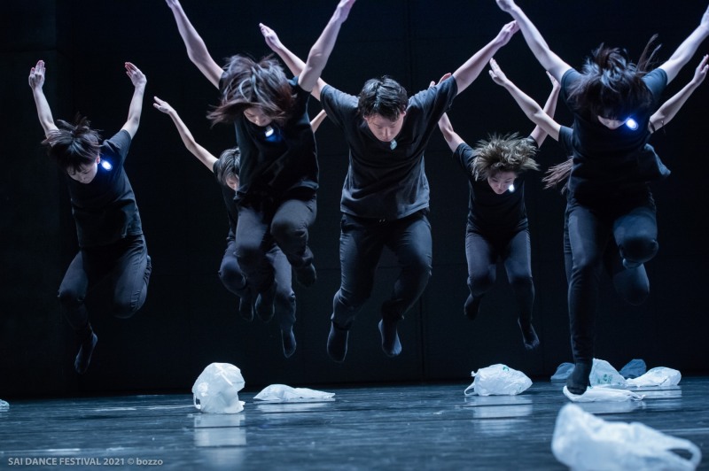 Dance PJ REVO 제공