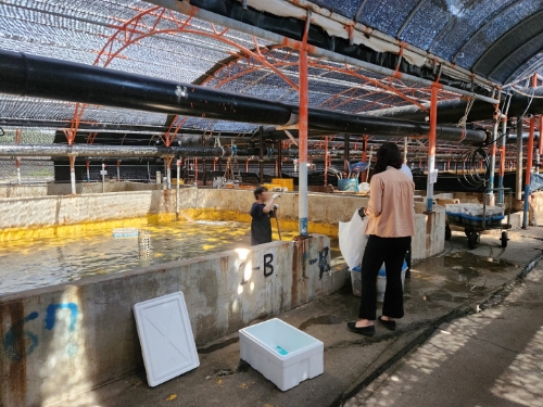 수산물 안전성 조사 모습 (사진제공 = 완도군)