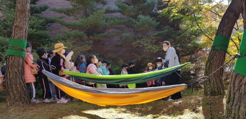 2022년 제3회 강원 유아숲체험의날 송곡대서 개최