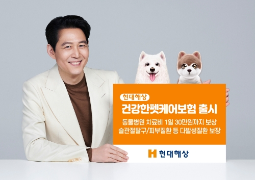 제공 = 현대해상