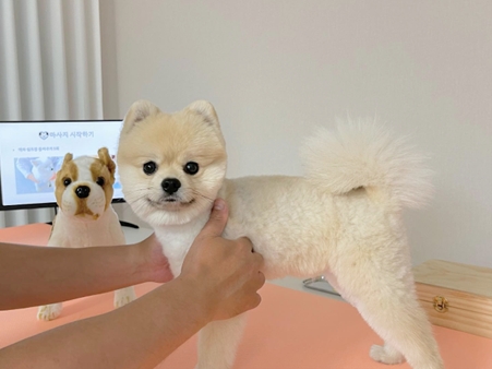 사진출처 = 인스타그램 @liho_li_k