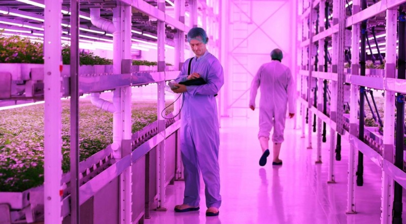 사진=존스 푸드 컴퍼니