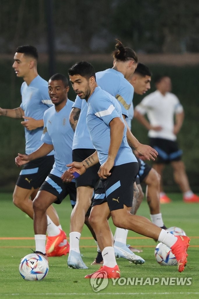 (도하=연합뉴스) 2022 카타르 월드컵 조별리그 1차전 상대인 우루과이 대표팀의 루이스 수아레스 등 선수들이 23일(현지시간) 카타르 도하의 알에르살 훈련장에서 공개훈련을 하고 있다.