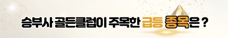 수익없는 『투자자』"‘이 것’ 몰라서.."▶폭등유망주◀공개