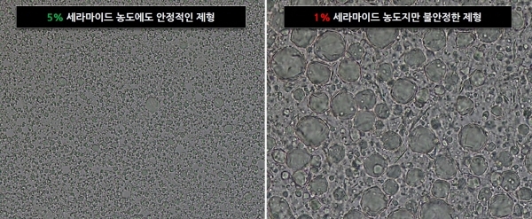 바이오코스메틱 신기술, ‘폴리마이드5’ 연 26조원 시장가치 기대