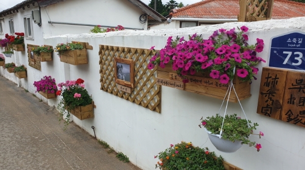 해남군 송지면 소죽리 (사진제공 = 해남군)