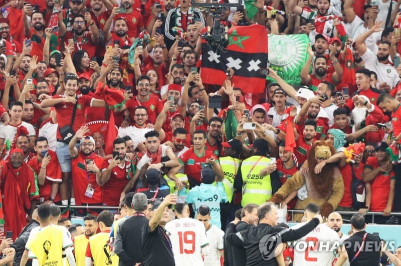 벨기에를 이기고 16강 진출에 성공한 모로코 선수들과 응원단이 함께 기뻐하고 있다 [사진=연합뉴스] 